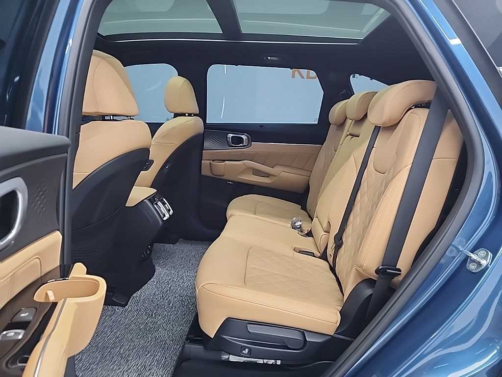 KIA Sorento - Vista 12