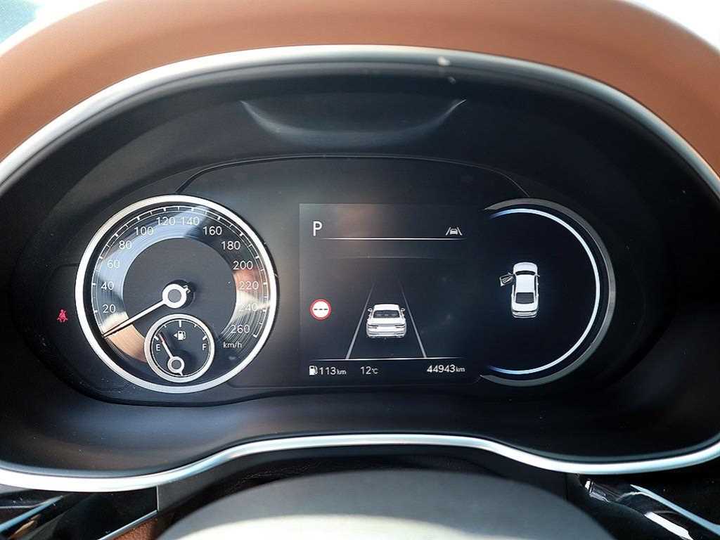 Genesis G80 - Vista 10