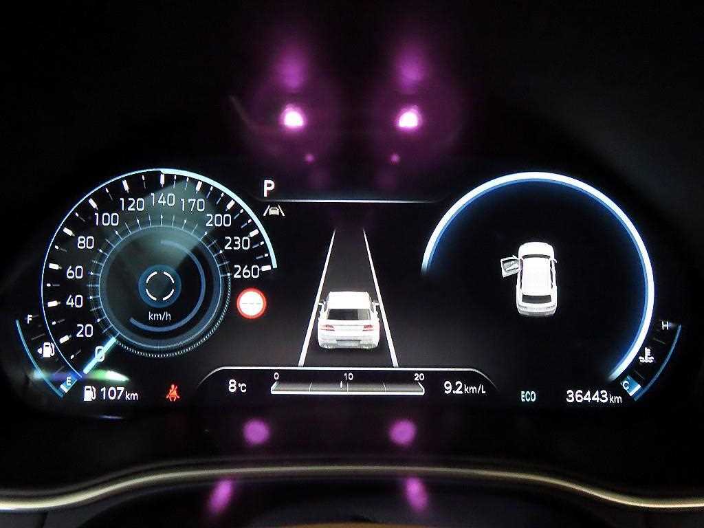 Genesis GV80 - Vista 9