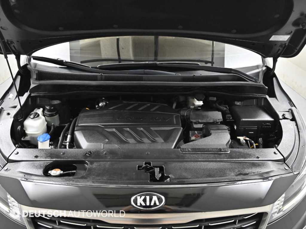 KIA Carnival - Vista 6