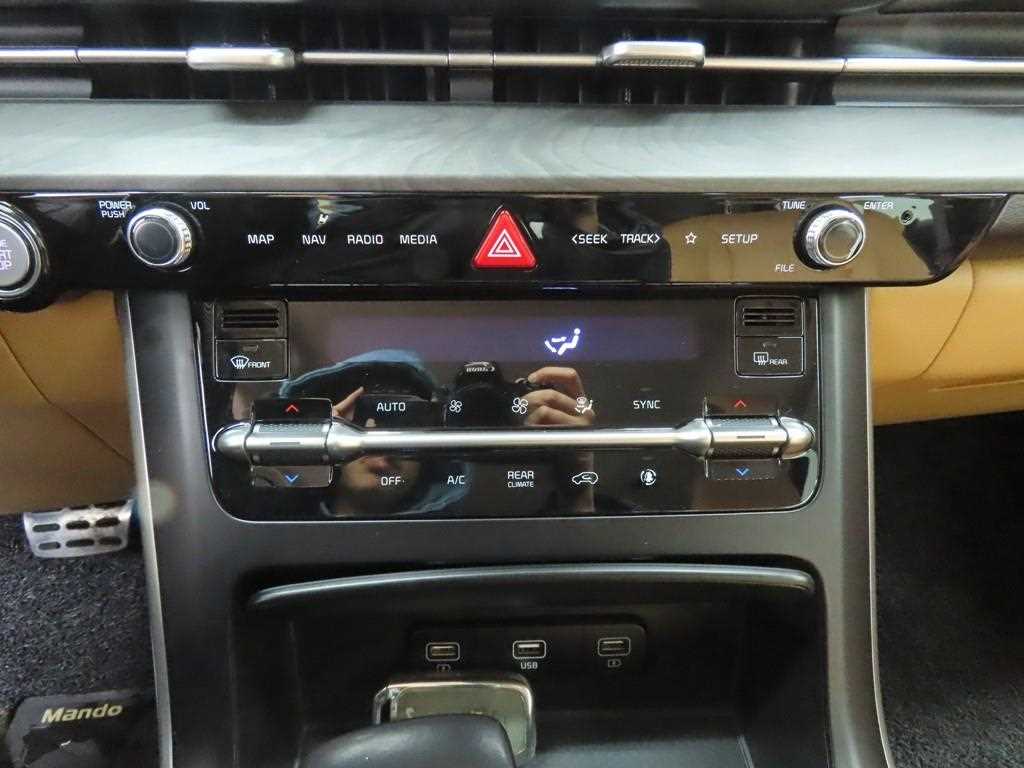 KIA Carnival - Vista 12