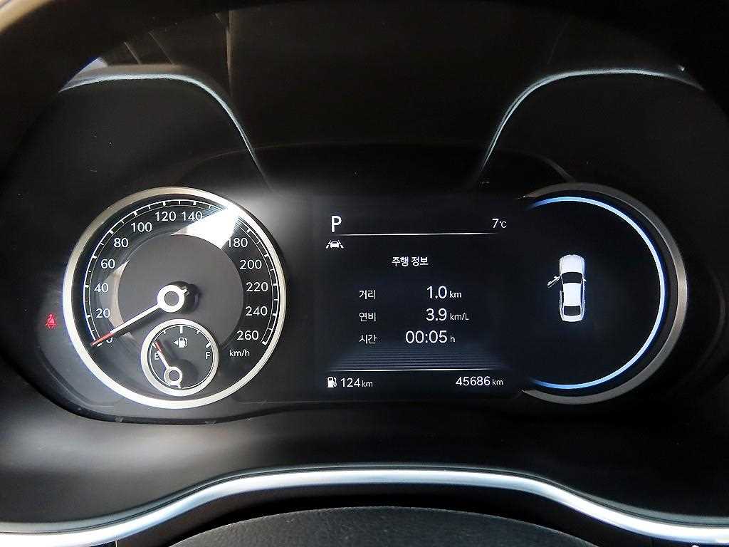 Genesis G80 - Vista 9