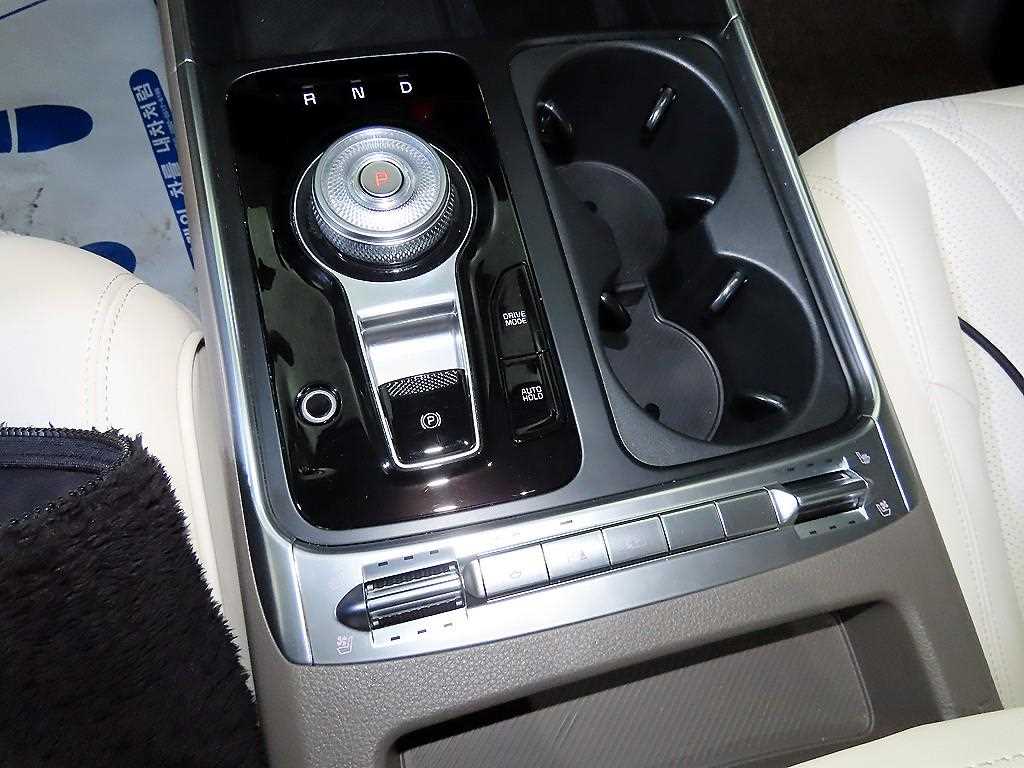 KIA Carnival - Vista 12