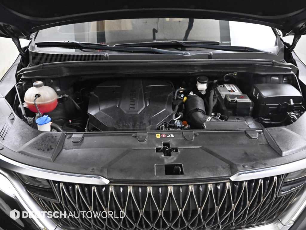 KIA Carnival - Vista 6