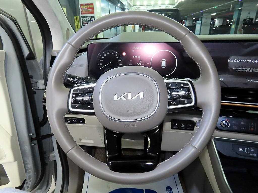 KIA Carnival - Vista 8