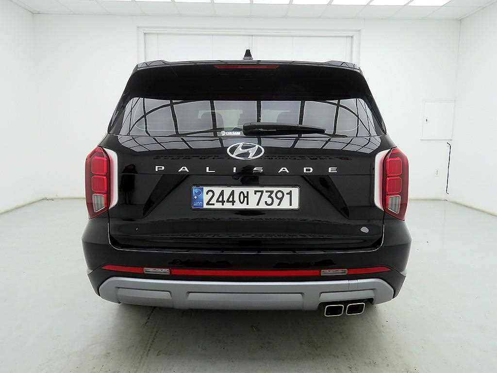 HYUNDAI Palisade - Vista 3