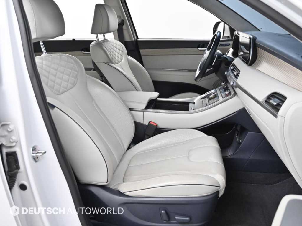 HYUNDAI Palisade - Vista 10