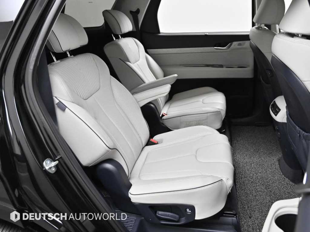 HYUNDAI Palisade - Vista 12
