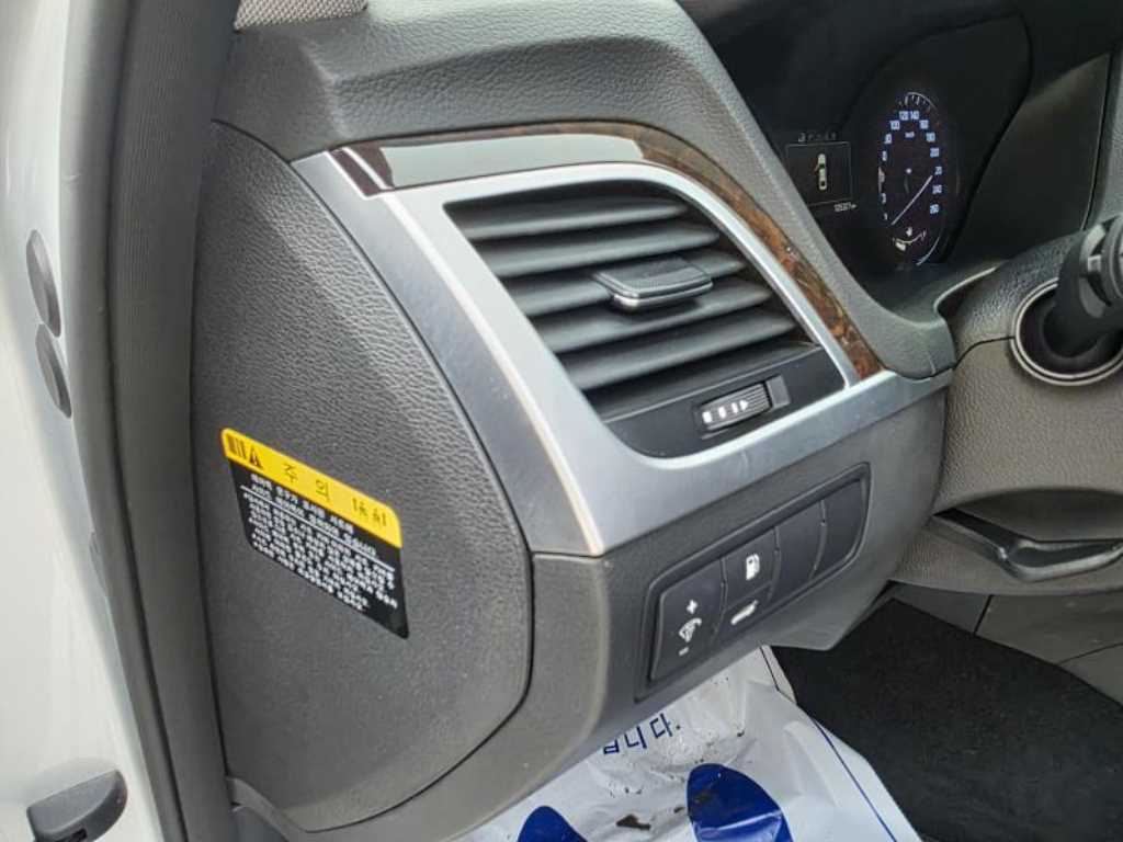 HYUNDAI Genesis - Vista 12