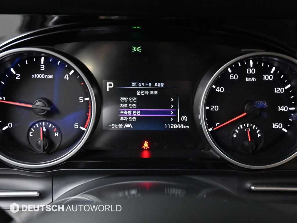 KIA Carnival - Vista 8