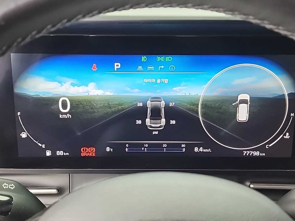 KIA Carnival - Vista 6