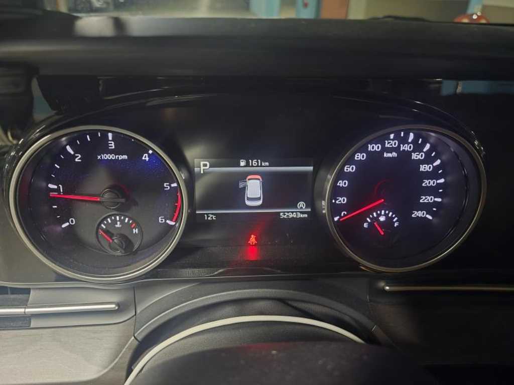 KIA Carnival - Vista 10