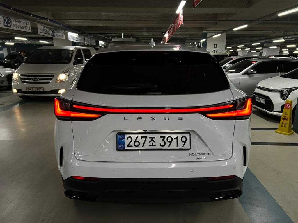 Lexus NX 2026 Blanco - Importación desde Corea - HF Imports Iquique - Foto 20