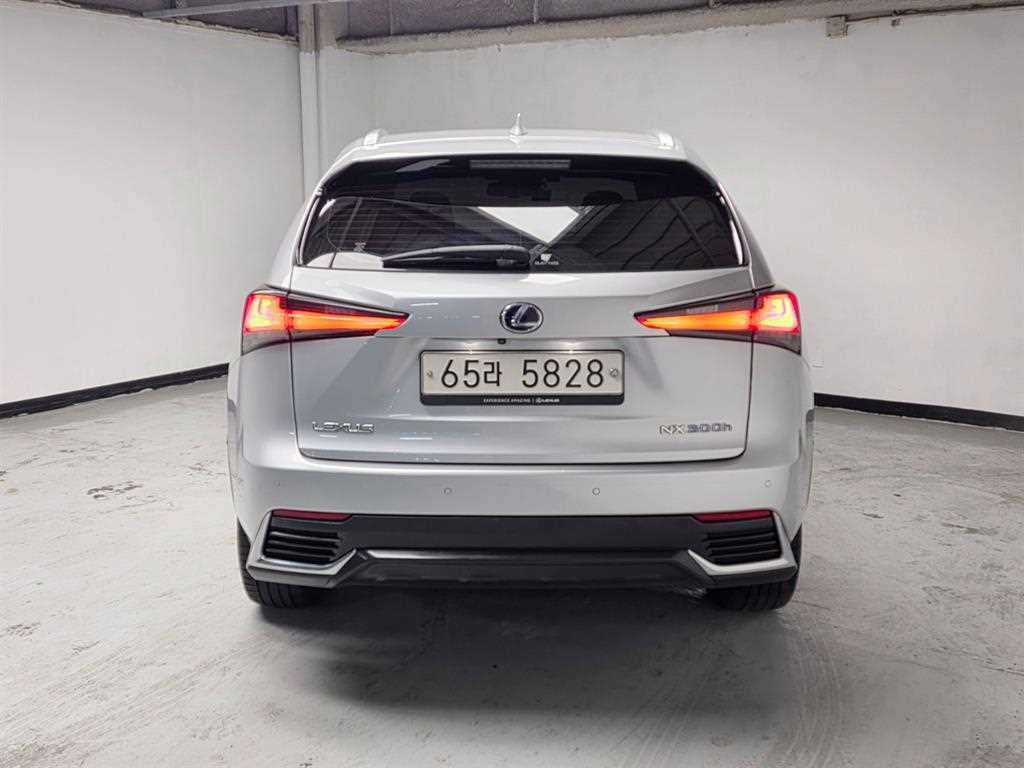 Lexus NX - Vista 4