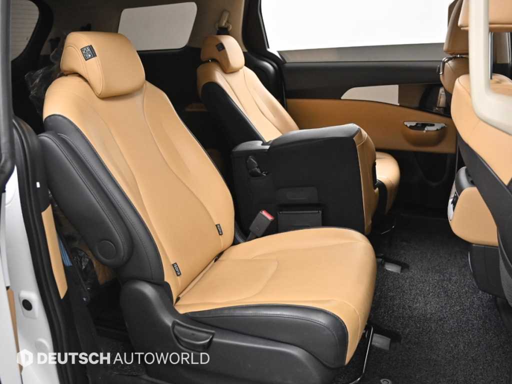 KIA Carnival - Vista 12