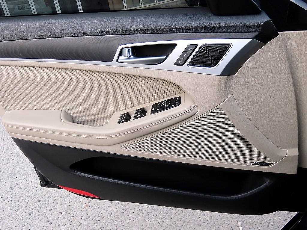 HYUNDAI Genesis - Vista 12