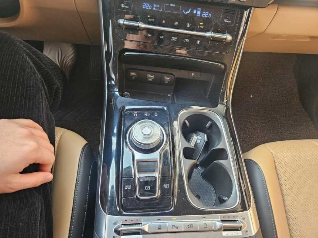 KIA Carnival - Vista 8