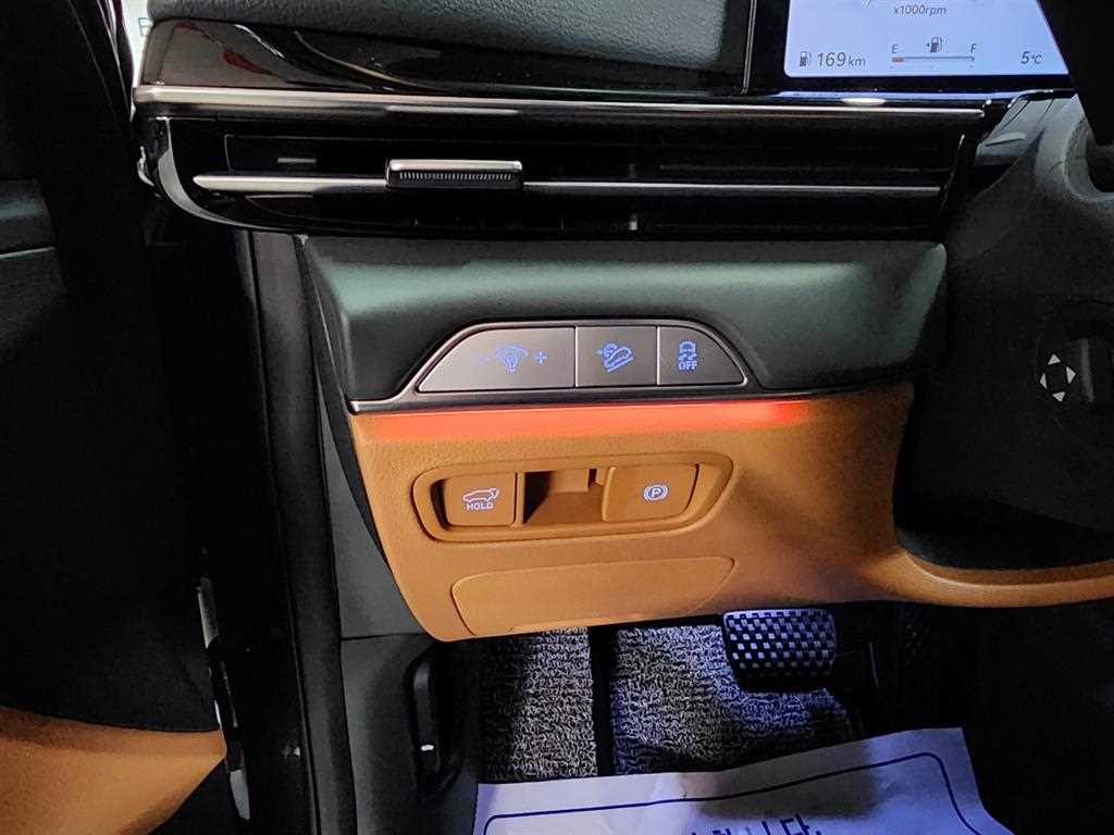 Genesis GV80 - Vista 12