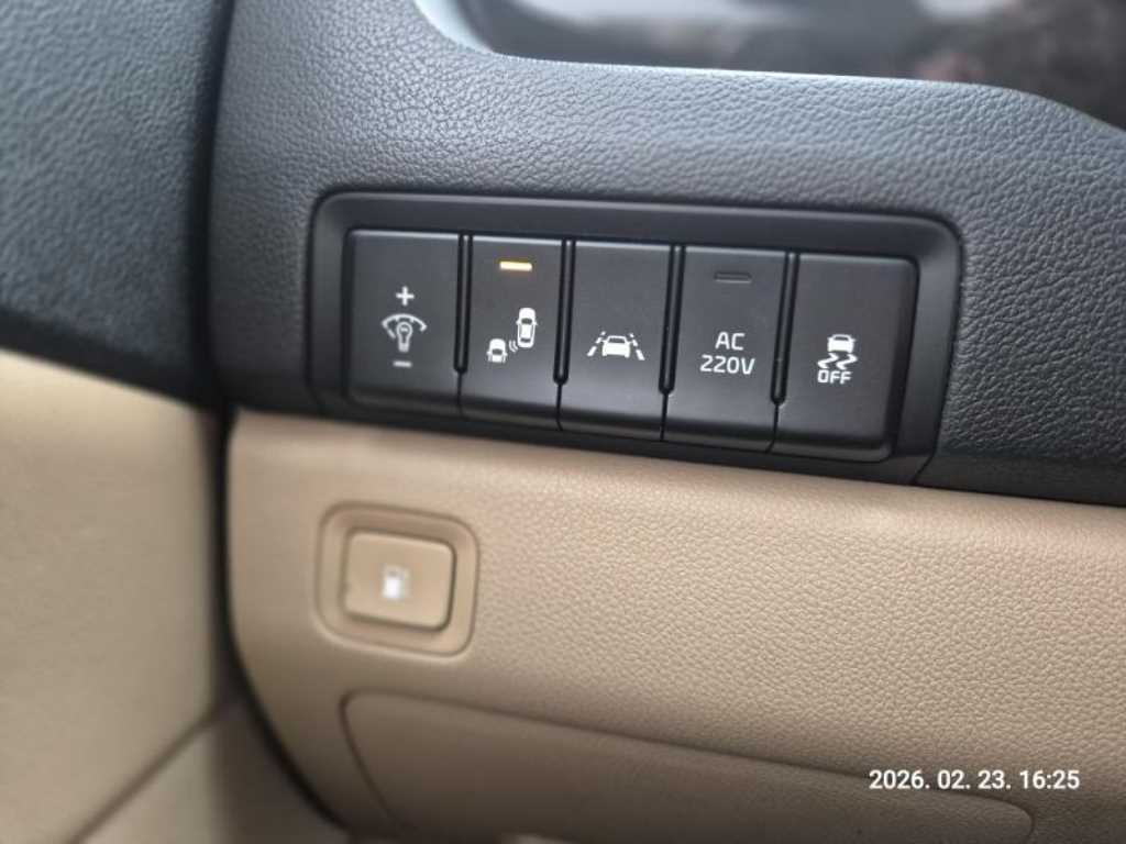 KIA Carnival - Vista 9