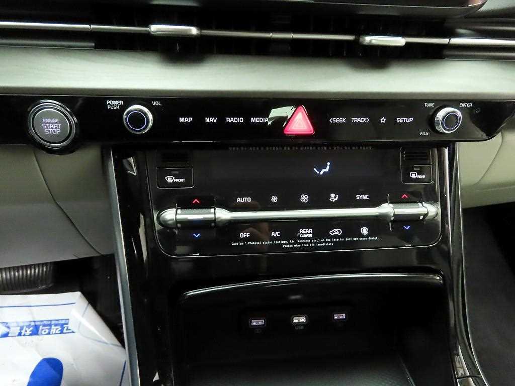 KIA Carnival - Vista 9