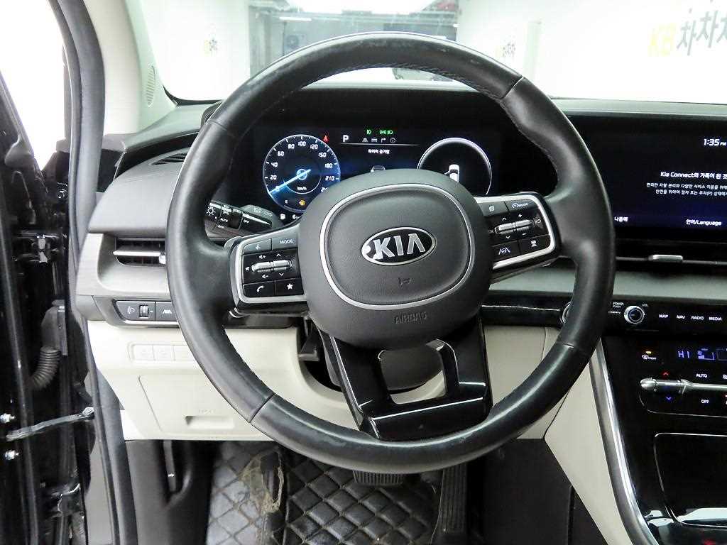KIA Carnival - Vista 8