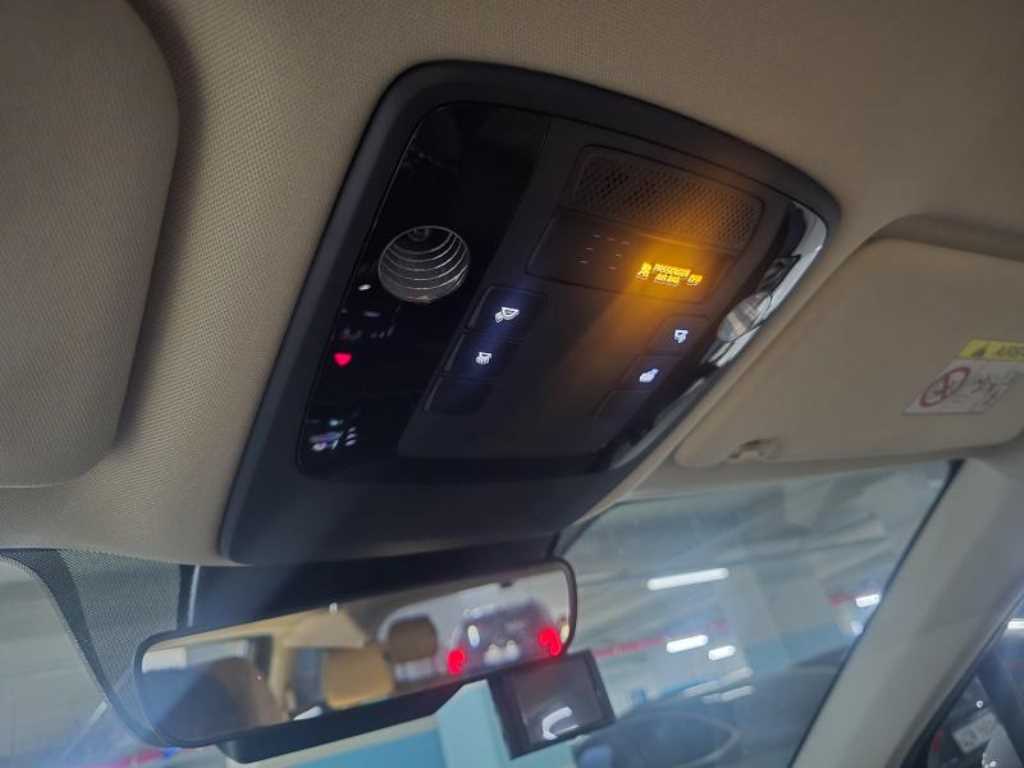 KIA Carnival - Vista 12