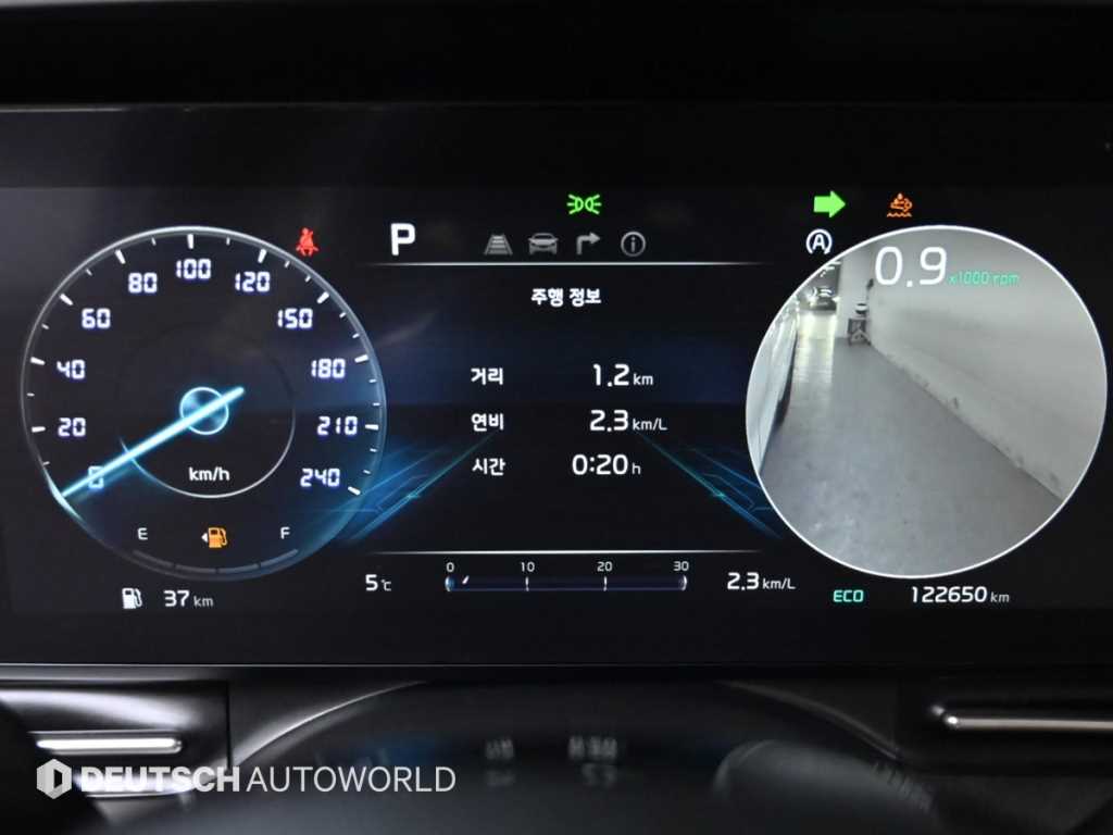 KIA Carnival - Vista 8