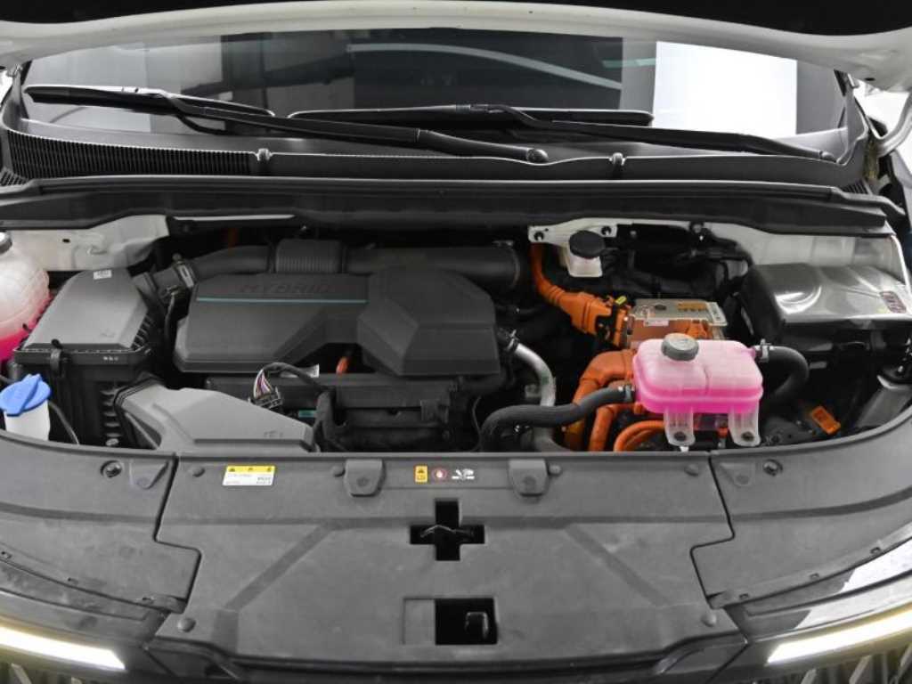 KIA Carnival - Vista 6