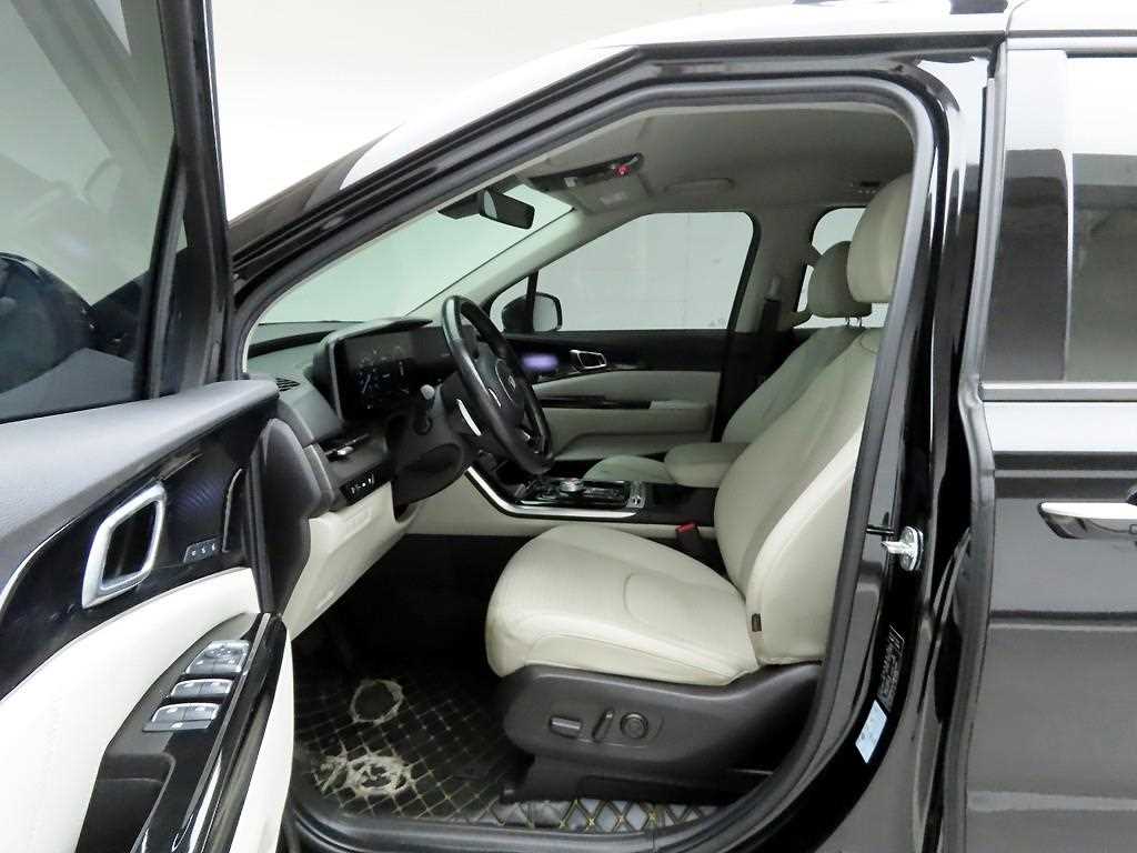 KIA Carnival - Vista 12