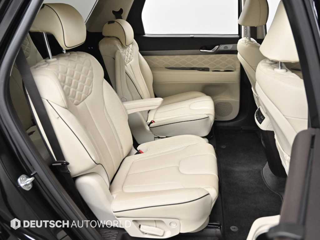 HYUNDAI Palisade - Vista 12