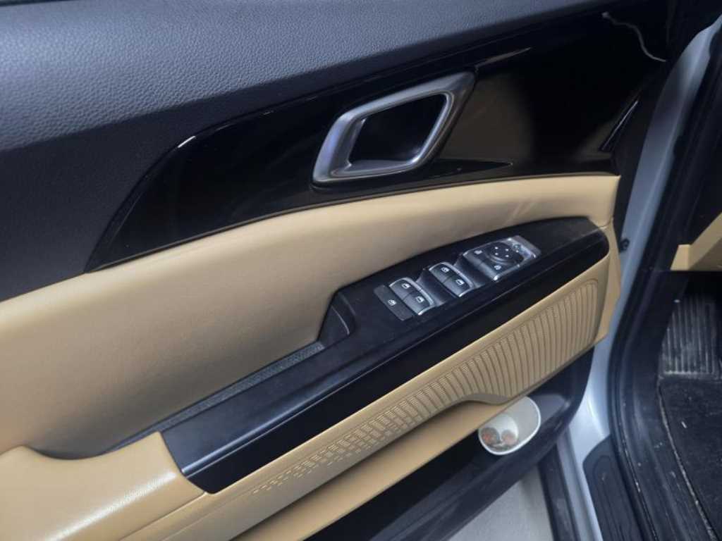 KIA Carnival - Vista 8