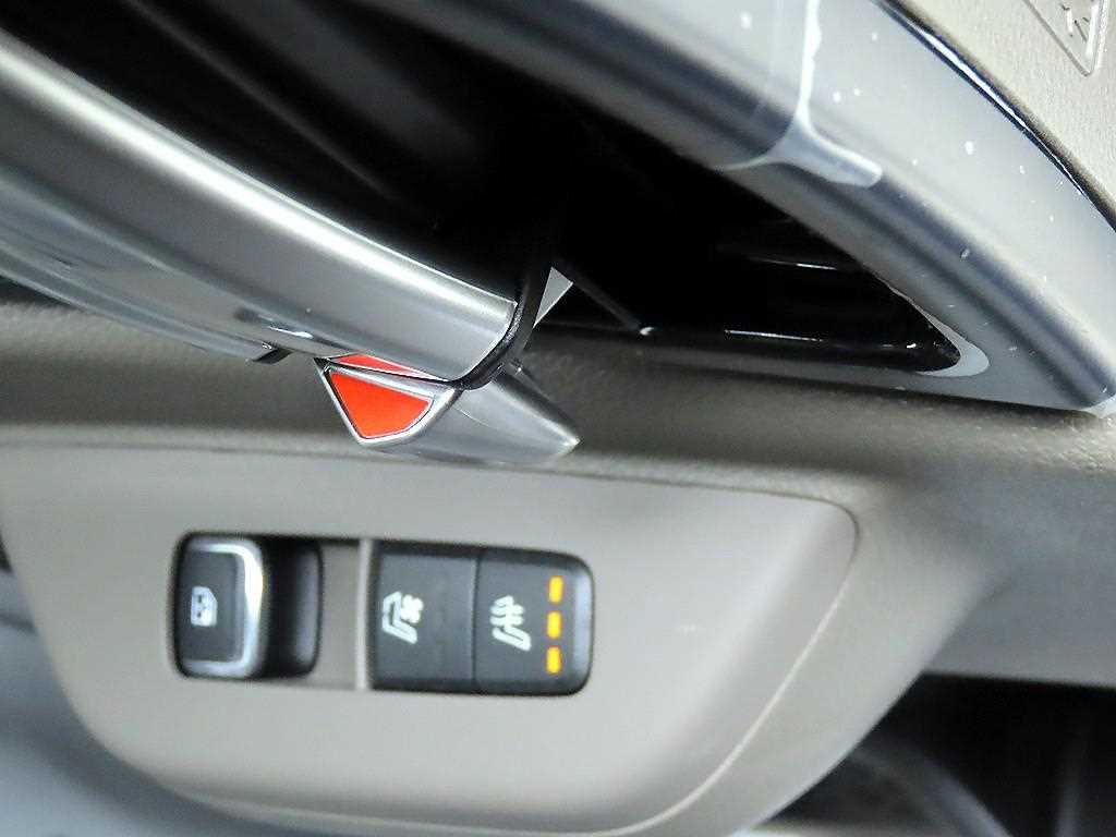 KIA Carnival - Vista 12