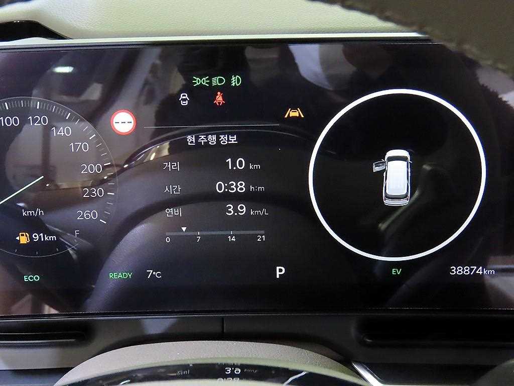 KIA Carnival - Vista 9