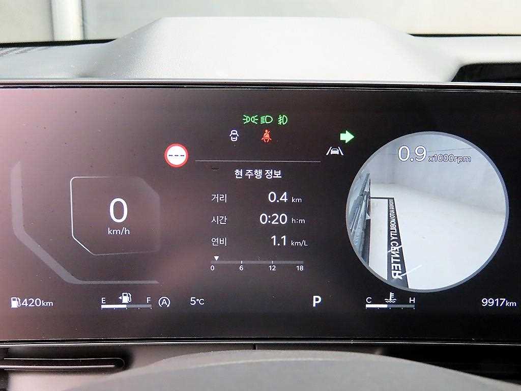 KIA Carnival - Vista 8