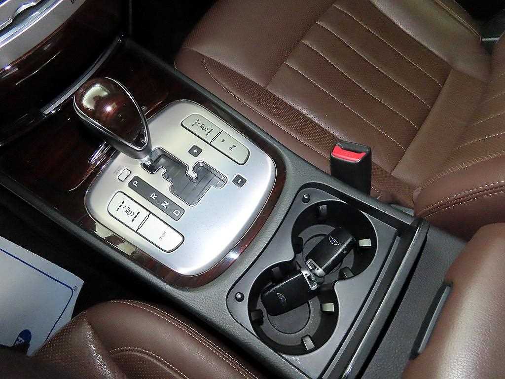 HYUNDAI Genesis - Vista 12