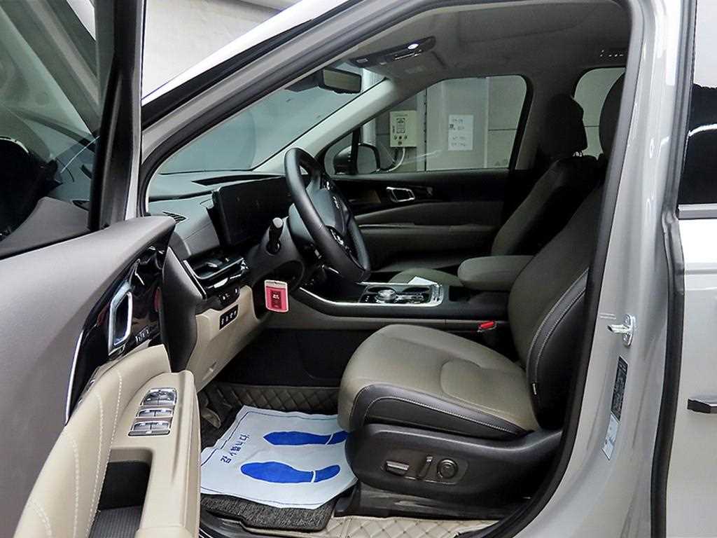 KIA Carnival - Vista 5