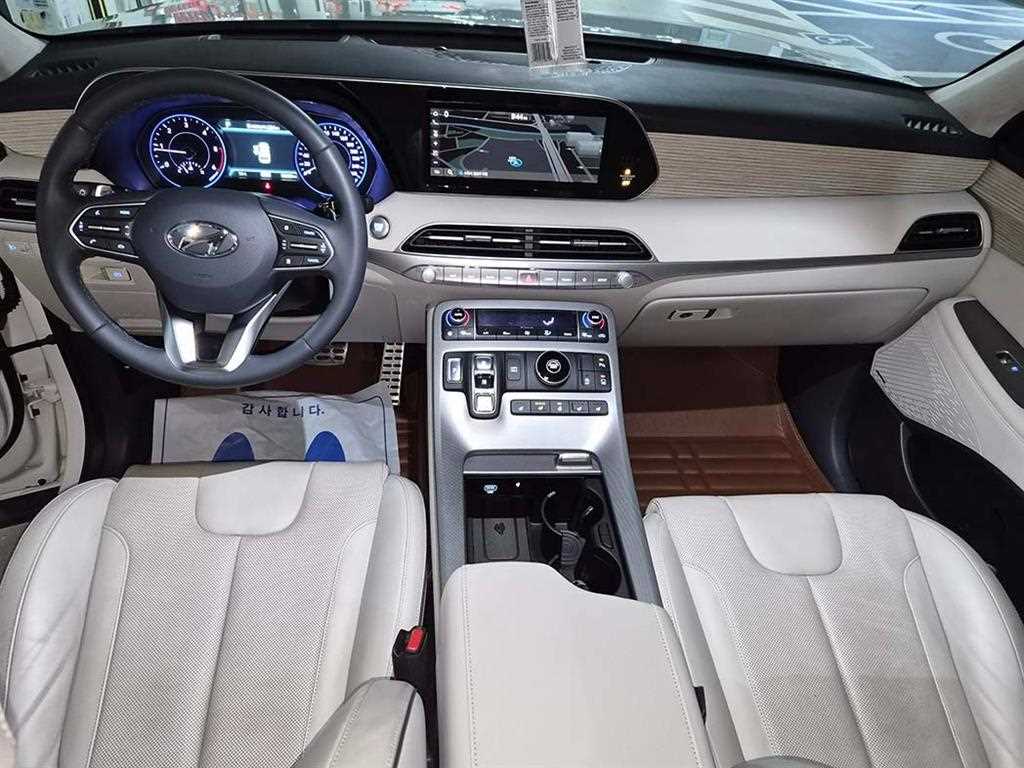 HYUNDAI Palisade - Vista 10