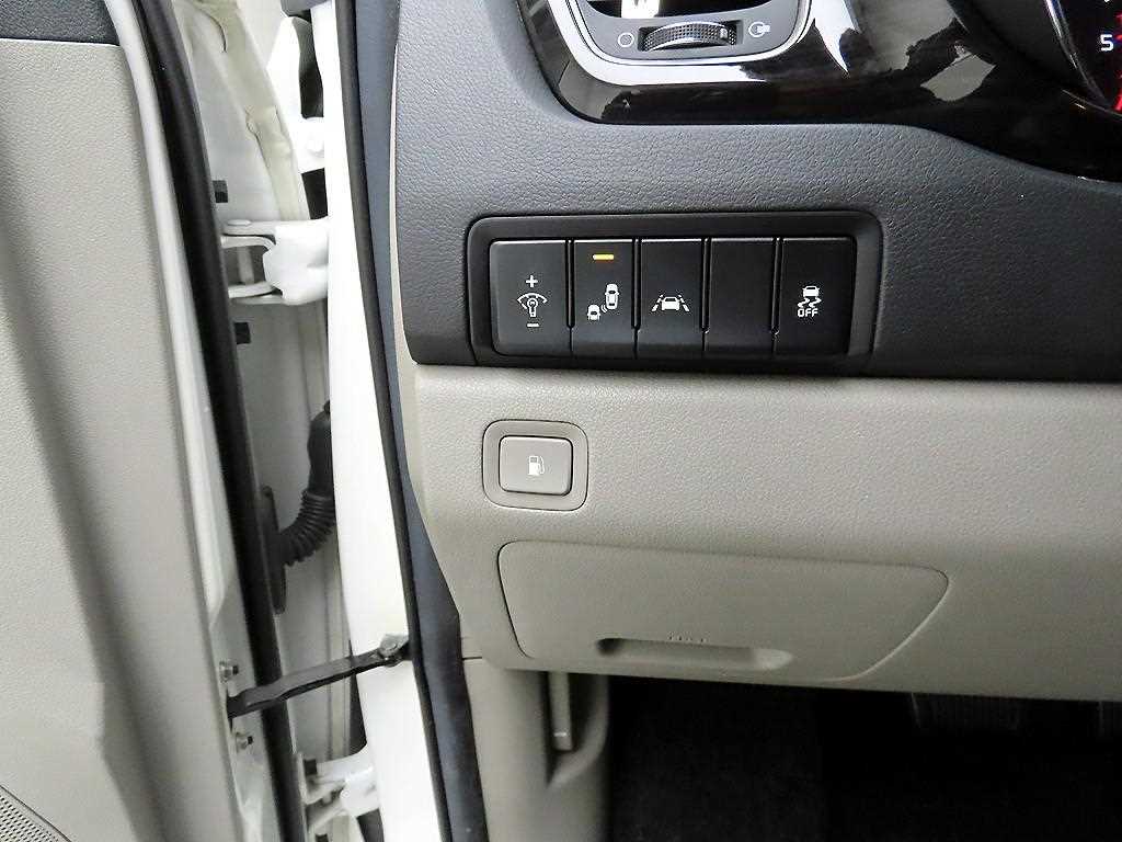KIA Carnival - Vista 12