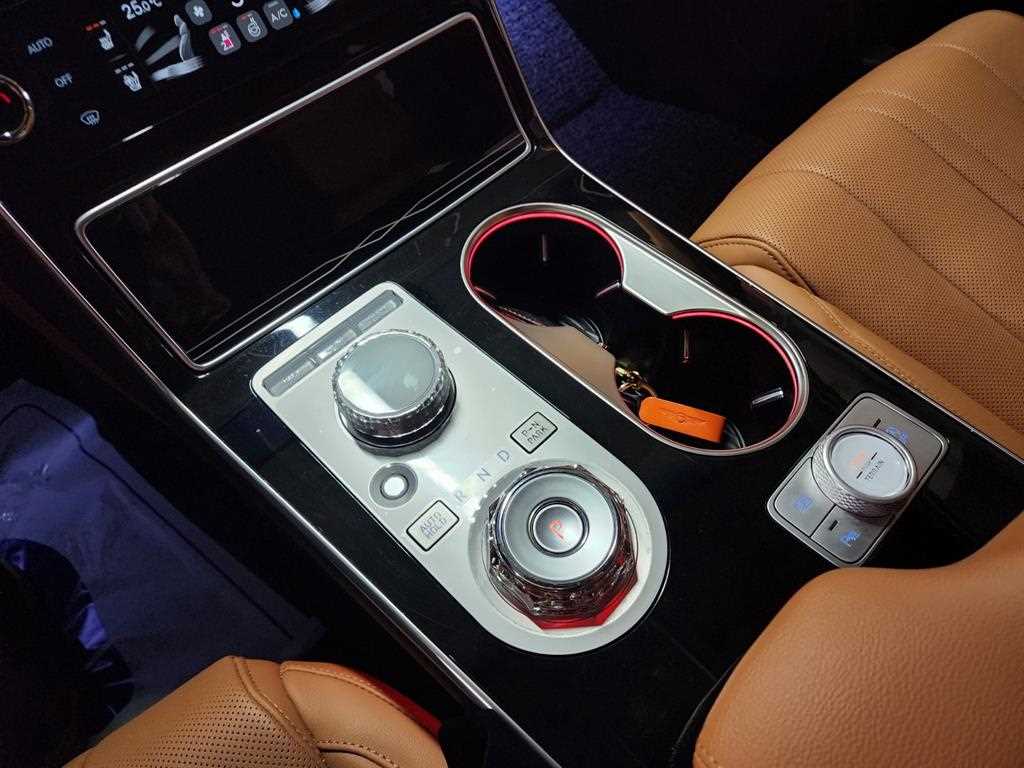 Genesis GV80 - Vista 8