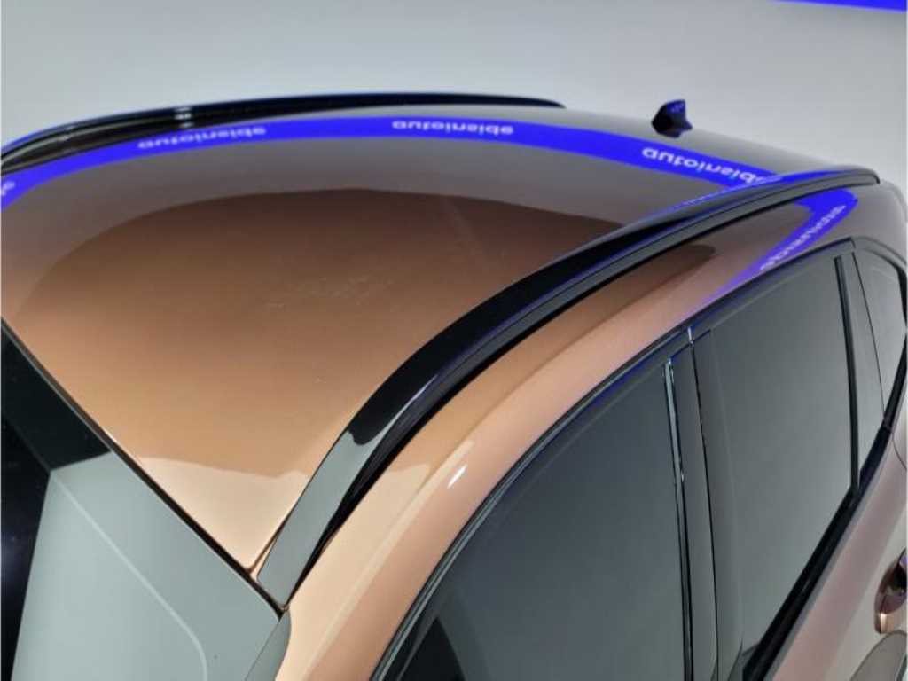 SAMSUNG Grand Koleos - Vista 11