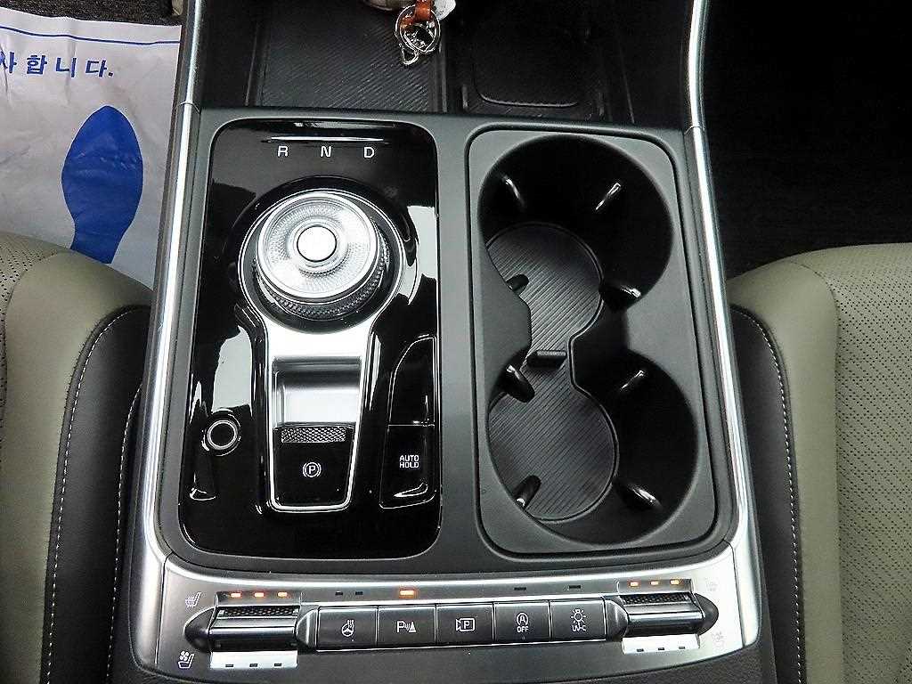 KIA Carnival - Vista 10