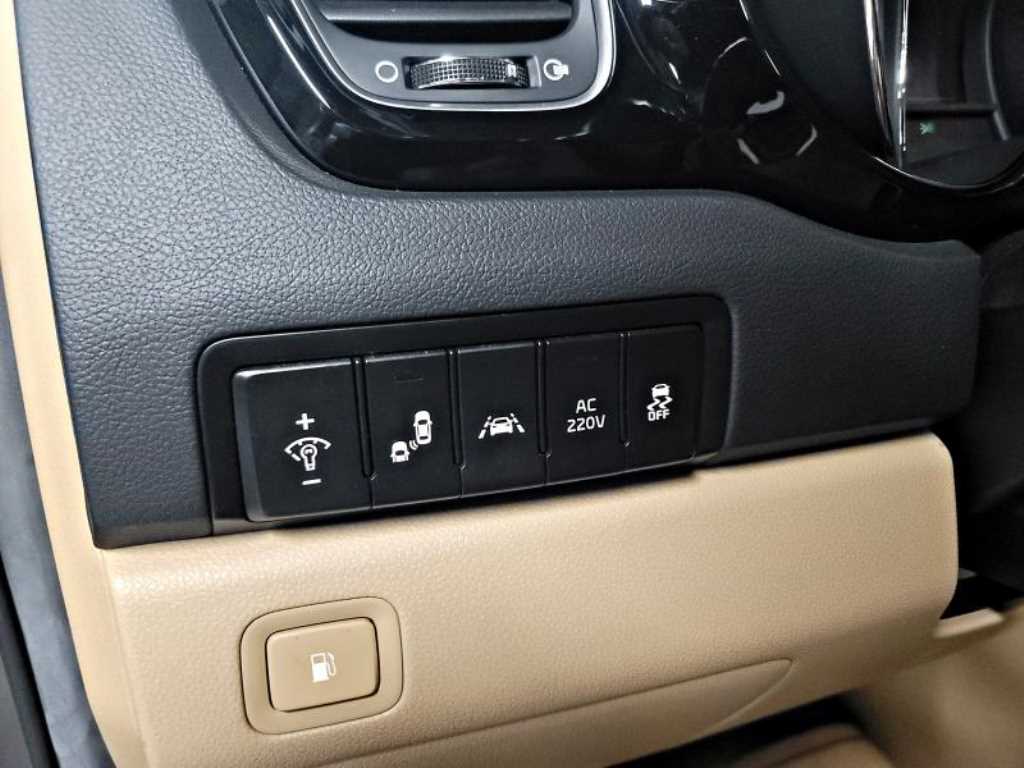 KIA Carnival - Vista 12
