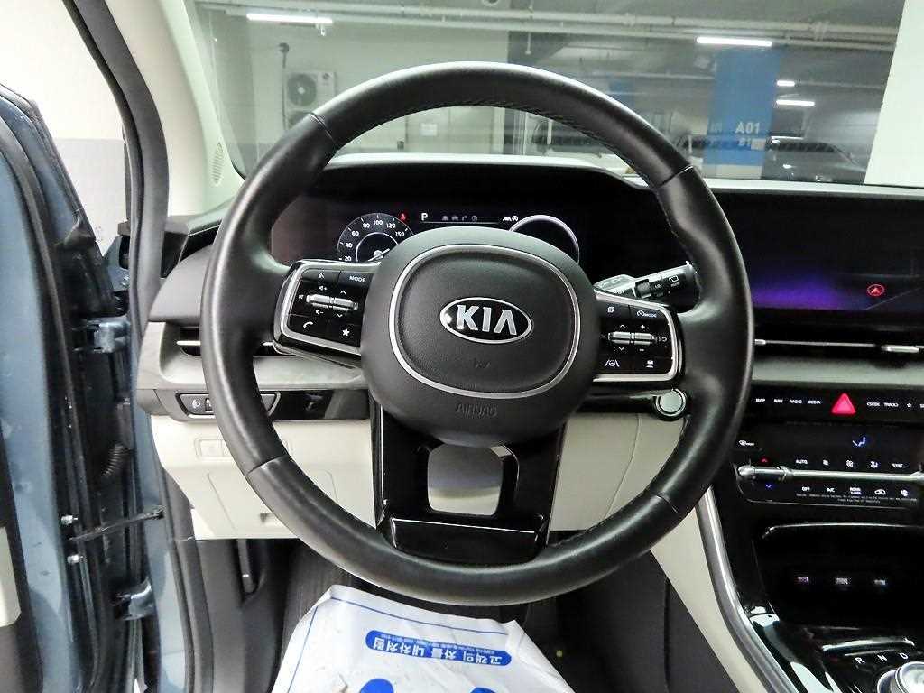 KIA Carnival - Vista 7