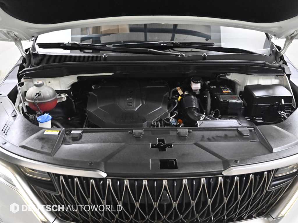 KIA Carnival - Vista 6