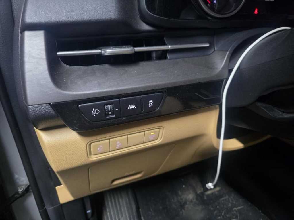 KIA Carnival - Vista 9