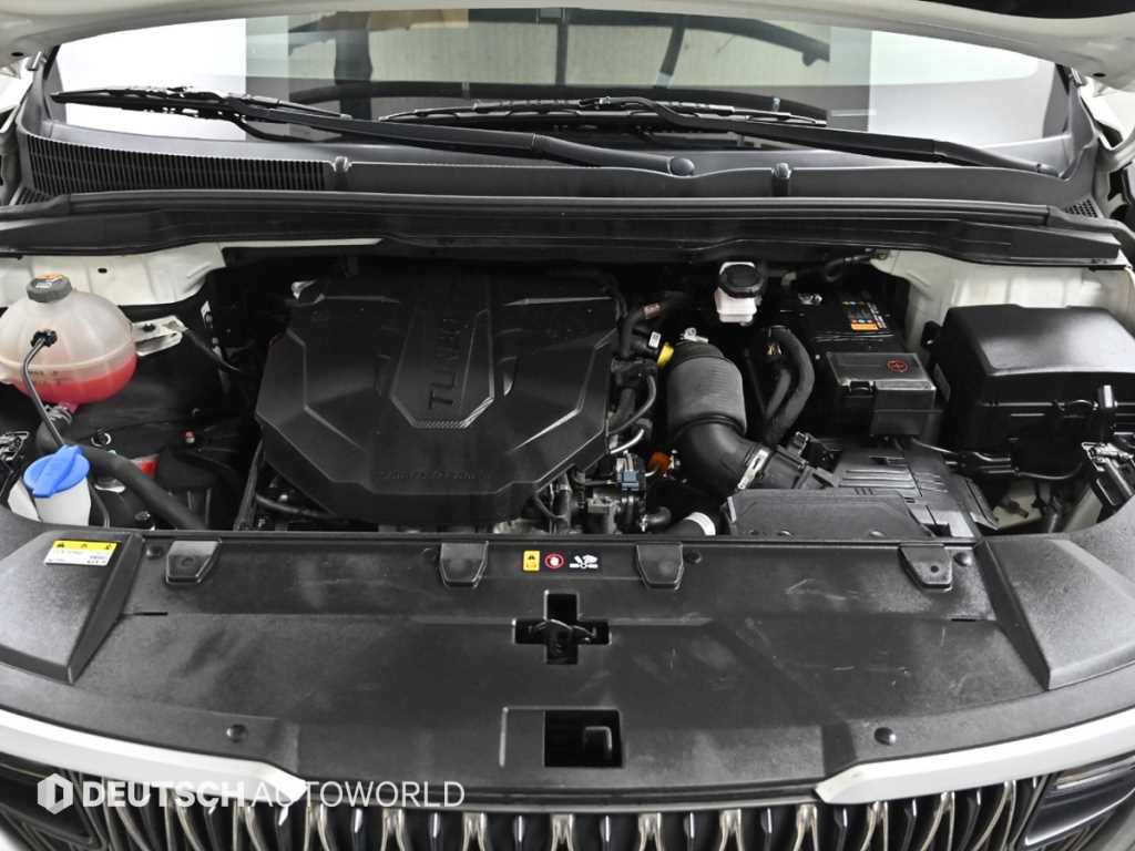 KIA Carnival - Vista 6