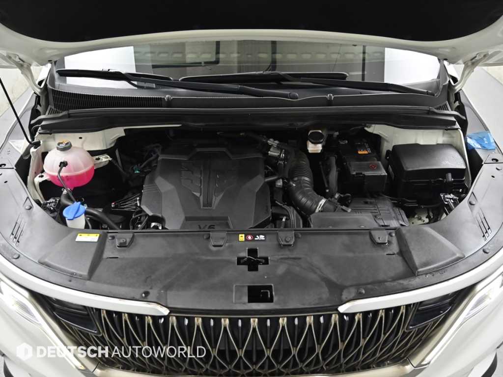 KIA Carnival - Vista 7