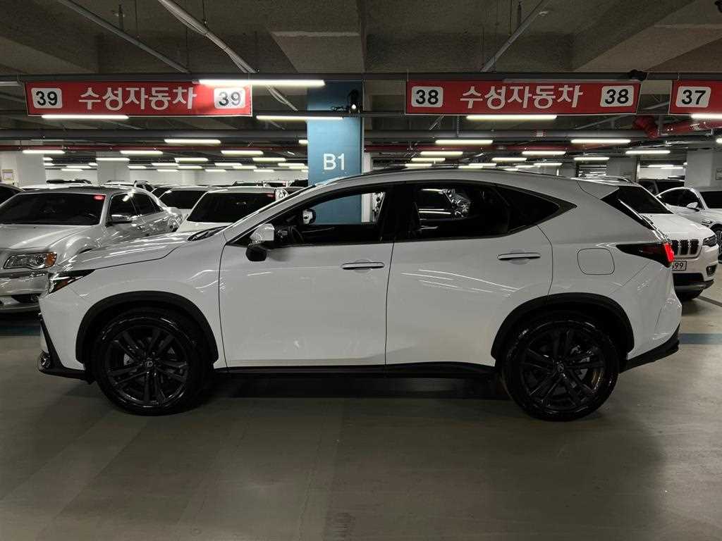 Lexus NX 2026 Blanco - Importación desde Corea - HF Imports Iquique - Foto 19