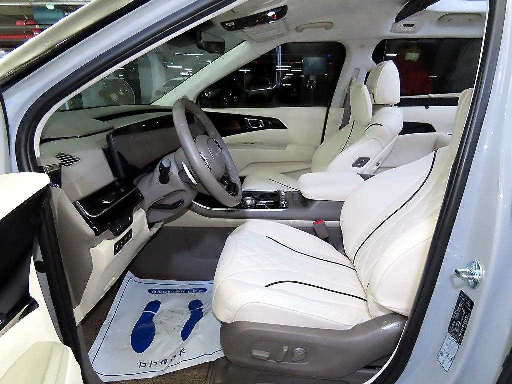 KIA Carnival - Vista 6