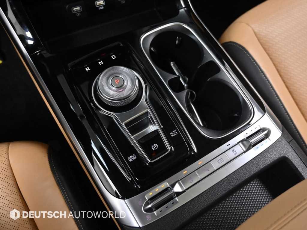 KIA Carnival - Vista 9